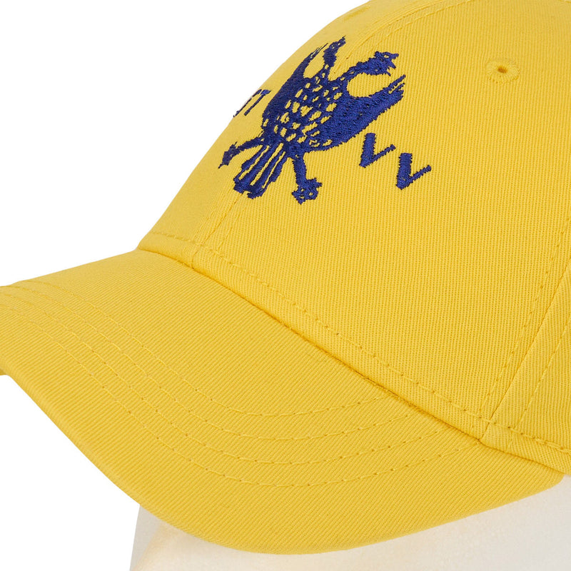 Pet geel 100 jaar STVV